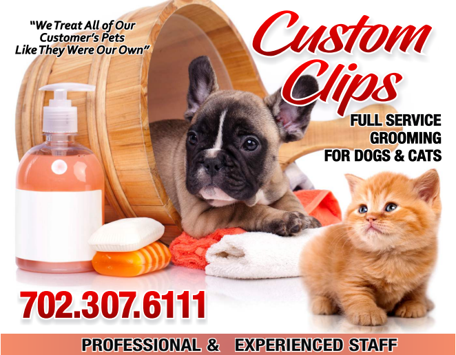 Custom Clips Dog & Cat Grooming. Clean pets are happy pets! Established 2000